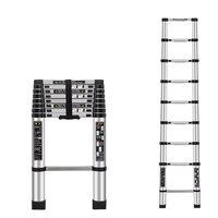 Échelle télescopique multifonctionnelle en acier inoxydable, échelle d'ingénierie, échelle pliante