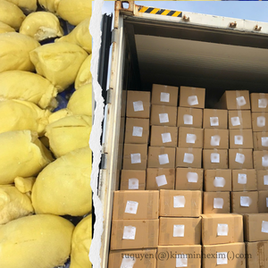 Pulpa de Durian Congelada IQF Premium de Vietnam, Empaque a Granel para Exportación - Product Image 4