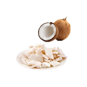 Coco Deshidratado Vietnamita de Grado Comercial, Deliciosamente Bajo en Grasa, Coco Seco Entero de Calidad, Hecho Naturalmente en Vietnam - Product Image 5