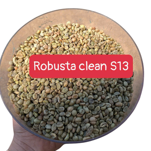Grains de café vert Robusta de haute qualité (S13, S16, S18) Grade 1 AA du Vietnam Grains de café vert pour l'exportation - Product Image 5
