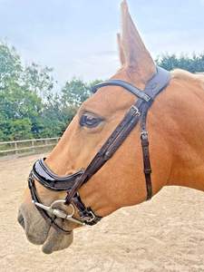 Qualité Supérieure - Bridon Western Américain en Cuir Huilé pour Cheval, Type Sidepull Sans Mors avec Rênes - Product Image 4