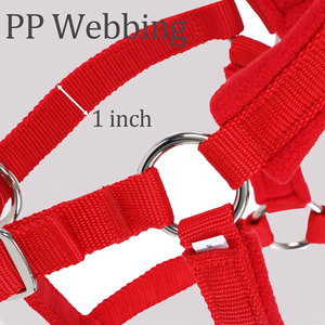 Harnais de cheval tissé rouge avec sangles réglables et boucles métalliques pour l'équitation - Product Image 6