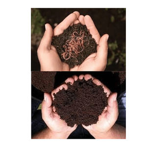 Premium quality vermi compost <b>soil</b> bulk supply rich in nutrients for healthy <b>plant</b> growth - Product Image 4