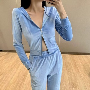 Conjunto de 2 Piezas de Chándal de Invierno de Terciopelo Sólido de Lujo Definitivo 2026 para Mujer, Sudadera con Capucha y Cremallera con Patrón Bordado y Pantalones de Chándal Casuales - Product Image 5