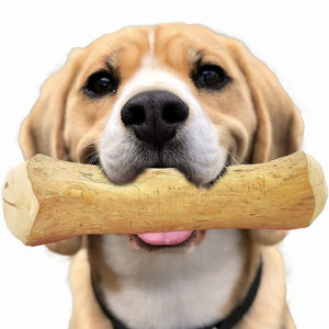 Juguete Masticable para Perros de Madera de Café – Palo Masticable Natural y Duradero para Perros |   Proveedor de Productos Ecológicos para Mascotas // Sr. Tom - Product Image 2