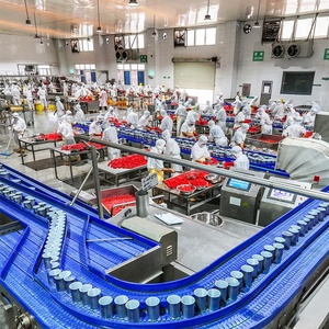 2024 mùa giải mới OEM/ODM có sẵn Trung Quốc xuất khẩu giá nhà máy bán buôn Đôi Tập trung đóng Hộp Cà Chua dán - Product Image 3