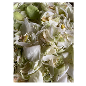 Thé en Sachet de Fleurs de Lotus Séchées pour la Santé, Matériel de Lotus Raffiné, Durée de Conservation de 24 Mois, Aromathérapie, Présentation Artistique - Product Image 4