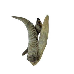 Masticables para Perros 100% Auténticos, de Primera Calidad y Sostenibles, Hechos con Agua y Cuernos de Cabra para Uso Diario, Suministro a Granel desde India - Product Image 4