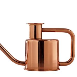 Nueva llegada, regadera moderna de cobre con pico largo y mango para el cuidado elegante de plantas en interiores y exteriores. - Product Image 1