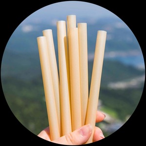 Popular Europeo Americano 6mm 8mm 12mm bagazo de caña de azúcar pajita biodegradable compostable No Pla accesorios para bebidas - Product Image 5