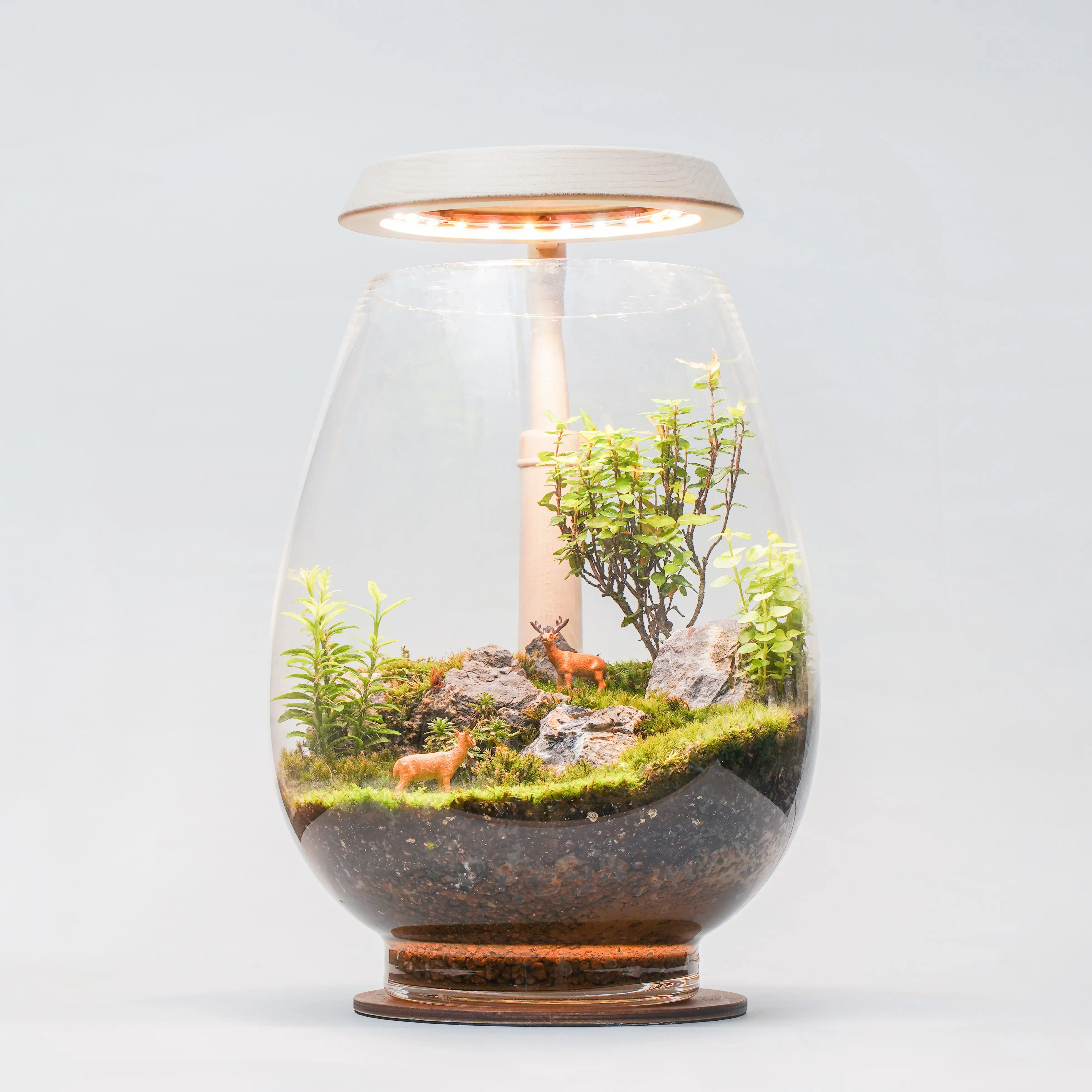 [2.9R] Exquisite LED Smart Wooden Grow Terrarium Light Plants Desk Growth Lamp