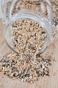 Nourrissage nutritif biologique pour oiseaux avec graines de fruits mélangées pour oiseaux domestiques de volière avec soutien immunitaire et formule équilibrée de marque privée - Product Image 6