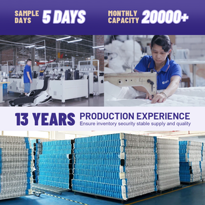 Hypo-Dị Ứng 25Cm Hoàng Gia Nữ Hoàng Kích Thước Dành Cho Người Lớn Phòng Ngủ Euro Top Nén Orgainc Bộ Nhớ Bọt Túi Cuộn Dây Mùa Xuân Giường Nệm - Product Image 4