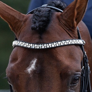 Nueva llegada: Diadema para caballo de cuero genuino con cristales rojos personalizados, incrustaciones brillantes de diamantes y formas variadas para brida. - Product Image 4