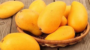 Rodajas de Mango Orgánico Seco Dulce y Suave de Primera Calidad, Vietnam, OEM, ODM, Marca Privada, Venta al por Mayor, Exportación, Proveedor, Fábrica, Fabricante - Product Image 3