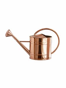 Canne de jardin décorative en métal pour un design de jardin élégant et un support pour plantes grimpantes - Product Image 5