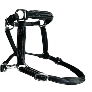 Harnais de cheval en cuir rembourré confortable avec surpiqûres contrastées fantaisie et double quincaillerie réglable en laiton nickelé, toutes tailles - Product Image 2