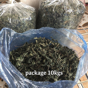 Proveedor Mayorista de Hoja Amarga Seca de Calidad de Exportación, Fábrica OEM, MEJOR CALIDAD ANGLE - Product Image 1