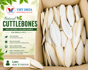 Huesos de Calamar/Sepia Secos de Origen Vietnamita, Grado A, para Uso en Peces, Caballos y Perros, Bolsas de PP de 25/50 kg, Modelo Katie +84352310575 - Product Image 3