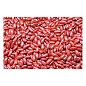 Frijoles Rojos Naturales Orgánicos Crudos con Alto Contenido de Proteínas para Dietas Vegetarianas y Preparación de Comidas a Base de Plantas - Product Image 6