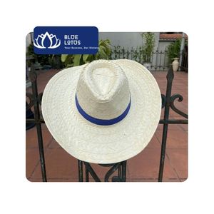 Meilleures ventes : Sombrero authentique mexicain en paille de jonc de mer, à large bord, protection solaire, pour le sport, le cyclisme, style bohème, rayé, unisexe, bleu - Product Image 1