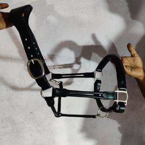 Cabestro de caballo ecuestre de tamaño completo de alta calidad, venta al por mayor, Productos Ecuestres, Material suave de nailon ajustable, logotipo personalizado - Product Image 4