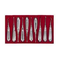 SEVMEK INSTRUMENTS SI-DI-404 Kit d'outils dentaires manuels en acier inoxydable de classe II, 5 pièces, argenté, pour extraction dentaire