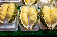 Premium Verse En Bevroren Durian Van Vietnam | Ri6 & Monthong Variëteit | Exportkwaliteit | Viet Delta | 1.5Kg