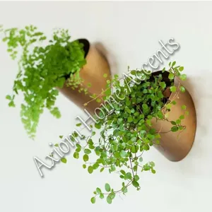 Maceta de Cerámica Artística con Diseño Único, Ideal para Exhibir Plantas de Interior y Suculentas, de Axiom Home Accents - Product Image 6