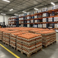 Œufs de poule frais bruns et blancs de qualité supérieure, carton de 30 unités, provenance Pologne