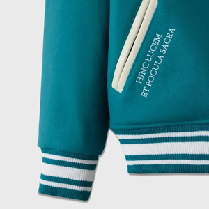 High Quality Hooded Varsity <b>Baseball</b> <b>Bomber</b> <b>Jacket</b> Winter Custom Logo Embroidery Men's OEM - Product Image 3