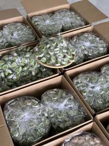 Caramelo de coco Pandan suave vietnamita hecho a mano con leche de coco maní masticable dulce aperitivo origen Vietnam Pandan caramelo de coco - Product Image 4