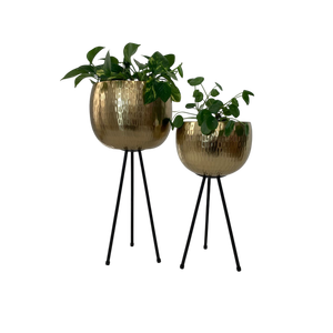 Set of 2 Modern Luxury Brass Polished Gold Planters with <b>Black</b> Metal <b>Stands</b> Mid-century Modern <b>Plant</b> Holders - Product Image 5