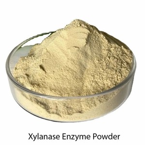 Enzima Xilanasa de Grado Alimenticio en Polvo de Alta Eficiencia 5000-200000 XU/g para Panadería y Procesamiento de Granos, Disponible para la Venta - Product Image 1