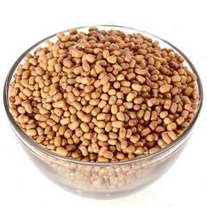 Extracto de Haba de Polilla en Polvo - Fabricante Patil Foods India - Product Image 1