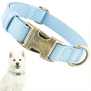 Collar para Perro Azul Claro, Cierre de Hebilla Ajustable, Estilo Clásico, para Razas Pequeñas, Todas las Temporadas - Product Image 5