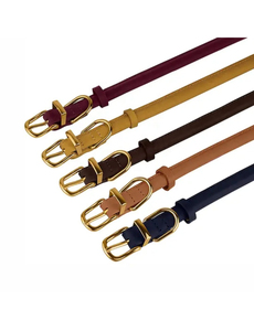 Luxury Anti-Lost PU Leather Dog <b>Collar</b> with Soft Padded Foldable Leads - Product Image 3