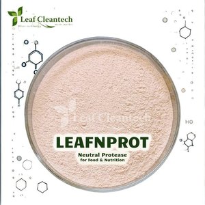 Enzima de proteasa neutra para procesamiento de alimentos-Hidrólisis de proteínas-Mejora de la nutrición de la India | Enzimas alimentarias y nutricionales | - Product Image 1