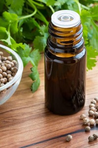 Tinh khiết Hữu Cơ rau mùi tinh dầu hoang dã-trồng thực vật chiết xuất dạng lỏng với tùy chỉnh bao bì chai giá thấp bán - Product Image 5