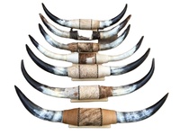 Corne de bœuf LONGHORN antique d'imitation, 3 pieds 5 pouces de large (UN SEUL exemplaire), corne de vache polie, art animalier - Vente chaude