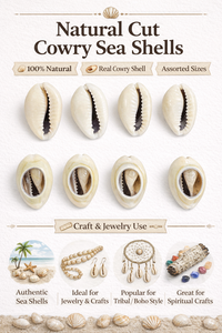 Conchas Marinas Naturales para la Elaboración de Joyería, Accesorios para el Cabello, Artesanías Tribales y Uso Decorativo - Product Image 6