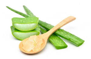 Extracto Puro de Aloe Vera |   Extracto de Plantas Herbales Naturales en Polvo |   Suministro a Granel de Grado Cosmético, Alimentario y Nutracéutico - Product Image 2