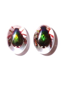 Cabochon ovale en plastique avec spécimen réel de coléoptère Golden Cockchafer, 12x18 mm, fond plat transparent, pour artisanat et fabrication de bijoux - Product Image 1