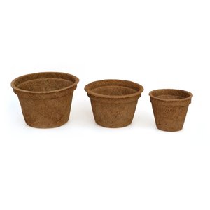 Pots de plantes d'intérieur petits pots de noix de coco en fibre de coco pour la plantation de cactus succulents bonsaï mini plantes - Product Image 2
