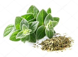 Feuilles d'origan séchées de qualité supérieure, herbe aromatique naturelle, assaisonnement aromatique, épice italienne de qualité alimentaire, qualité d'exportation en gros - Product Image 6