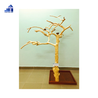 Perchoir pour oiseaux en bois de Java, bois de café, perchoir pour perroquet, support de jeu pour perroquet, design tendance, en provenance du Vietnam