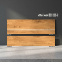 Carreaux de marche/rail en porcelaine, 300x1000mm, pour marche, finitions, antidérapantes, le lot de la marque indienne
