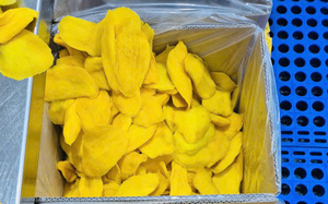 Tranches de mangue séchées AD en vrac, collation naturelle biologique, végétalienne, sans gluten, sans OGM, 99GD, fabriquées au Vietnam, douces, acidulées, sucrées, humidité max. 15% - Product Image 5