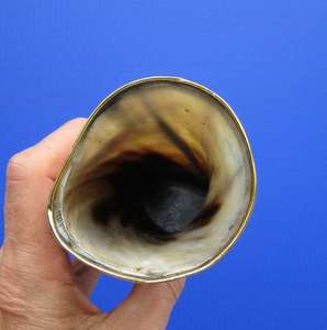 Copa de Cuerno Vikinga Hecha a Mano de Cuerno de Buey Puro, Vaso de Cerveza de Cuerno de Vaca Auténtico, Jarra con Diseño Elegante, Proveedor Indio - Product Image 4