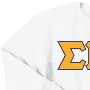 เสื้อสเวตเชิ้ตคอกลม Sigma Gamma Rho Sorority 3 ลายตัวอักษรกรีก แบบสั่งทำพิเศษ ผ้าฟลีซ ยูนิเซ็กส์ สไตล์ลำลอง แฟชั่นสตรีทแวร์ - Product Image 4
